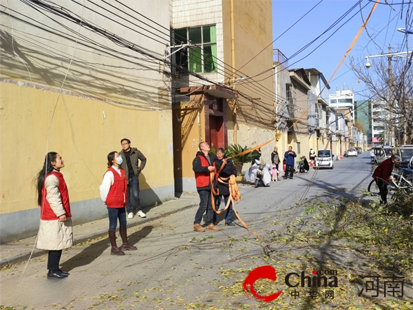 驻马店市驿城区老街街道办事处老街社区：砍树修枝除隐患 心系群众办实事